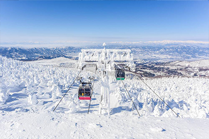 東北エリア