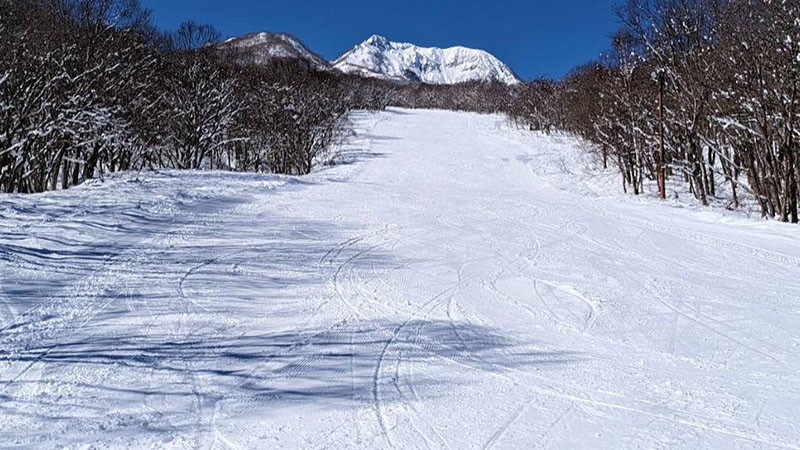 池の平温泉アルペンブリックスキー場