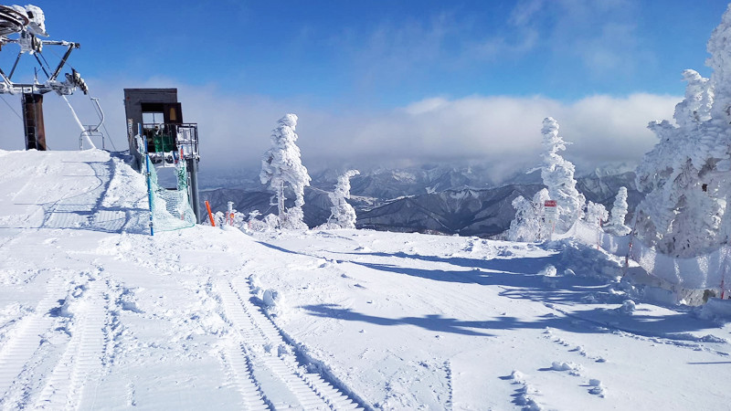 Mt.Naeba（苗場＆かぐら共通券）