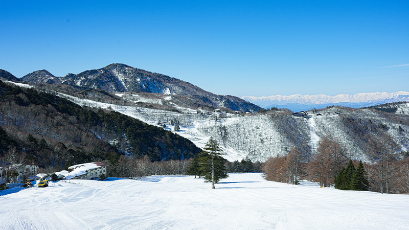 志賀高原マウンテンリゾート(全山券)