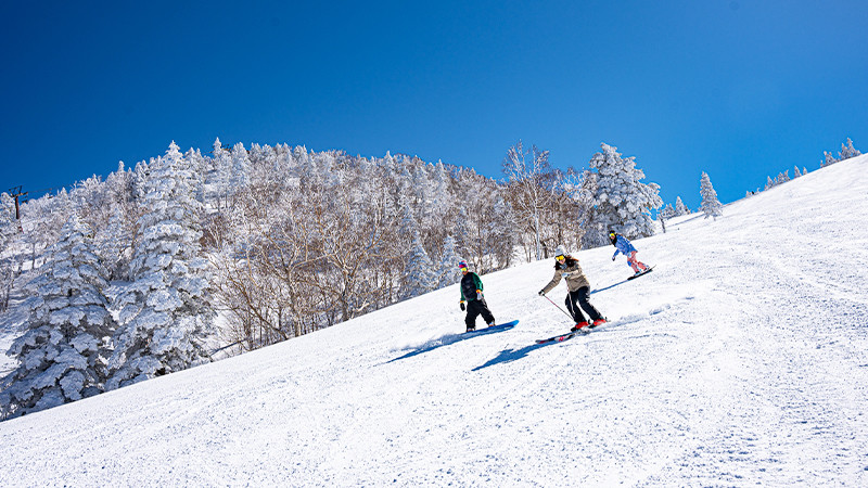 志賀高原マウンテンリゾート(全山券)